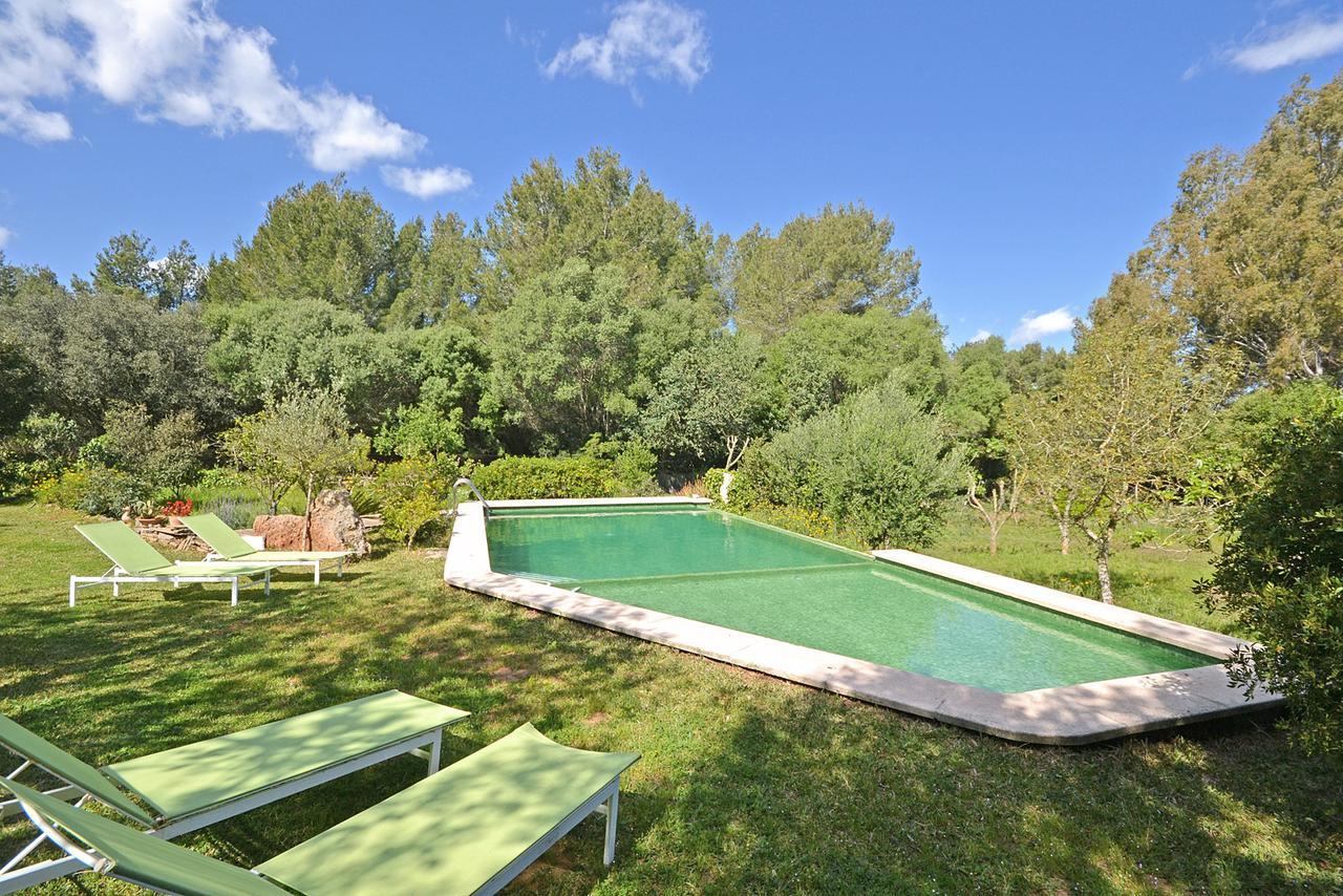 Villa Spiros Alcudia  Exterior photo